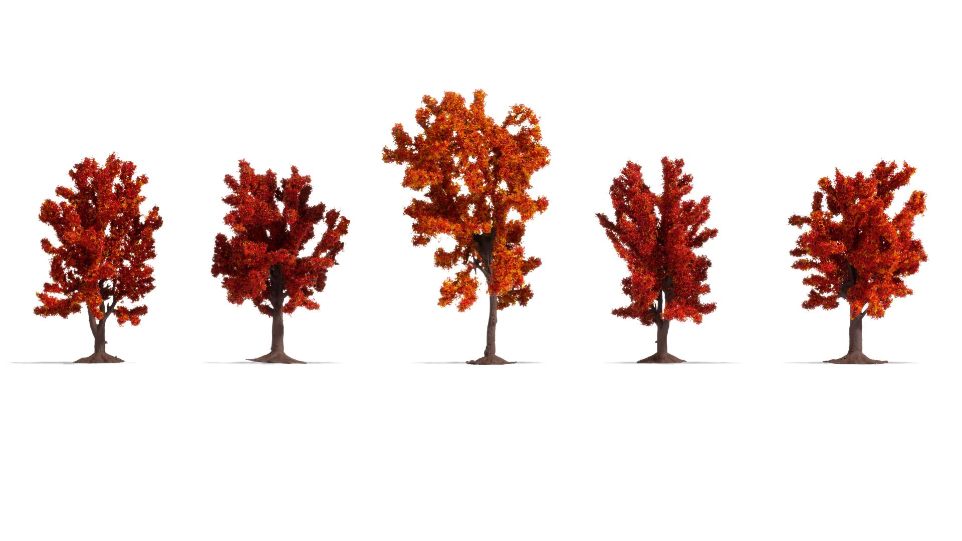 Herbstbäume mit roter Foliage 5 Stück, ca. 8-10 cm hoch