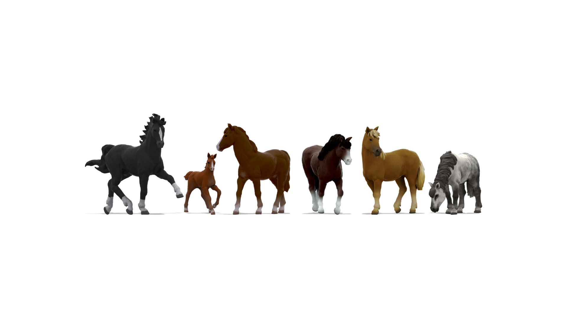 Pferde 3D Master Figuren