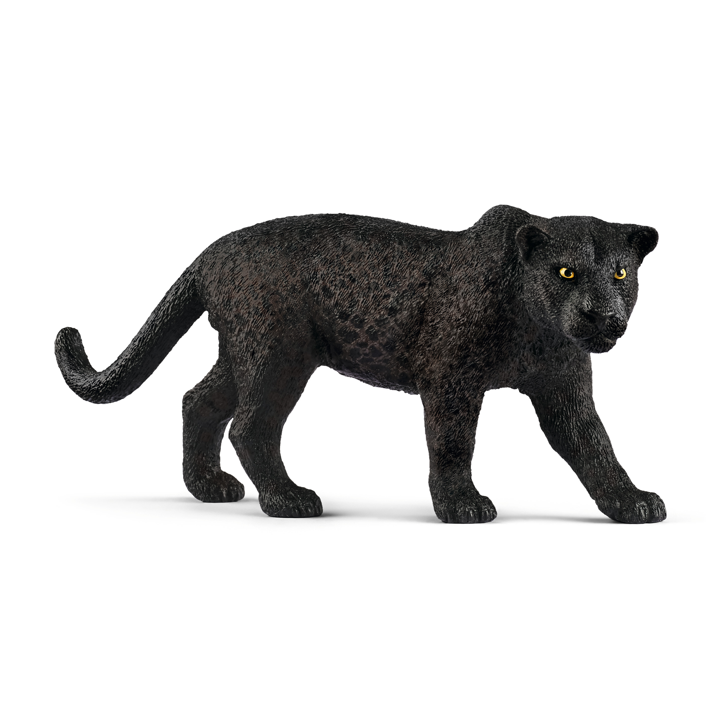 Schwarzer Panther 