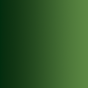 Xpress Color Wald-Grün / Forest Green, 18 ml